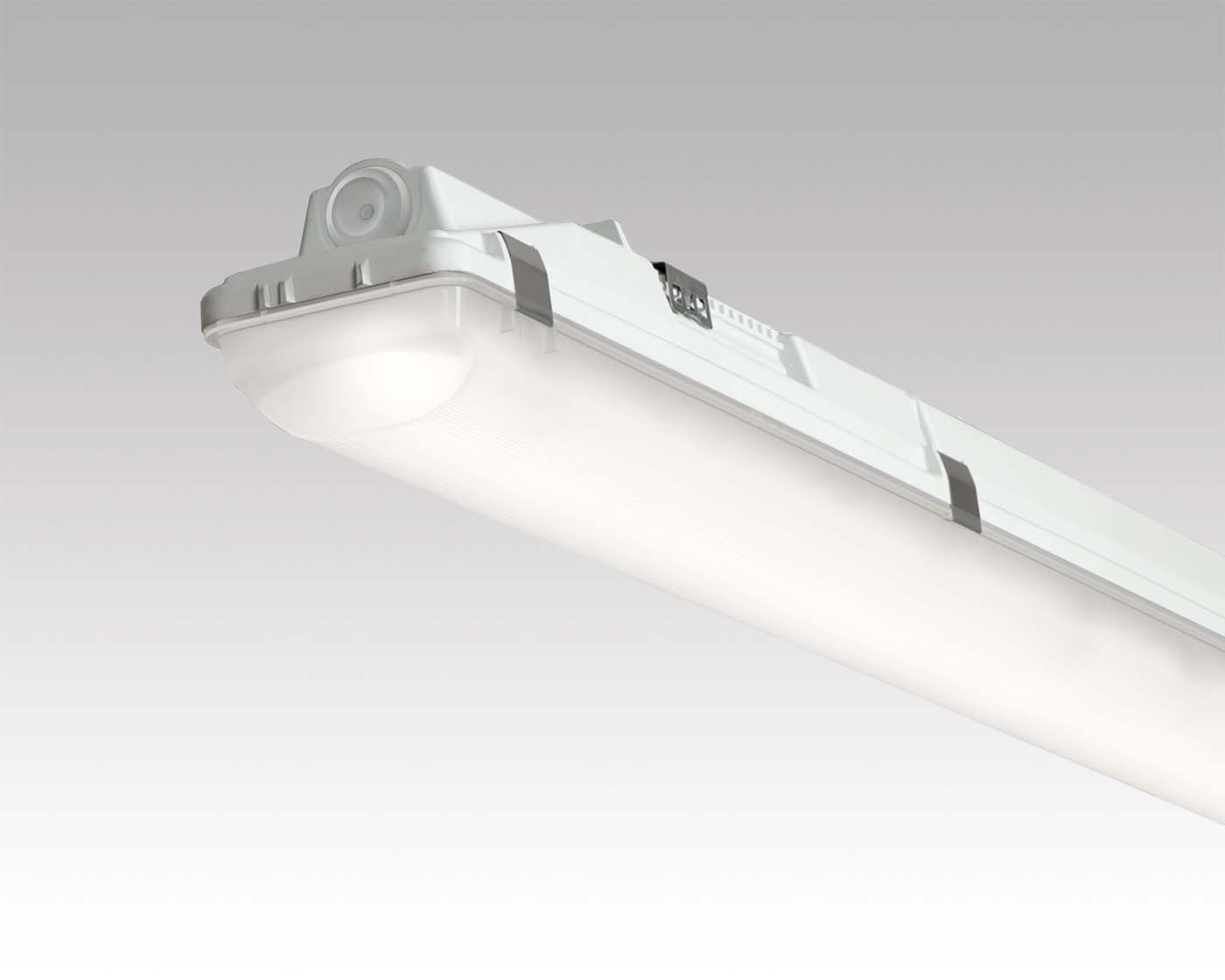 ID 65 GRP in the group Categories / Ceiling luminaires at Nokalux (452761r)